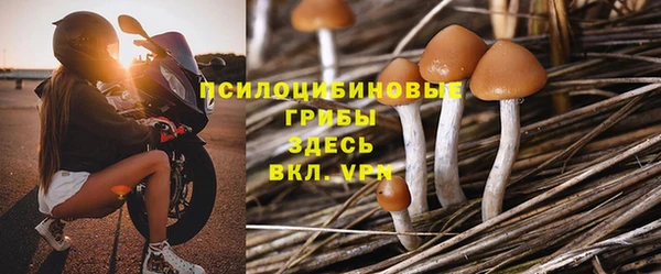 прущие крисы Алзамай