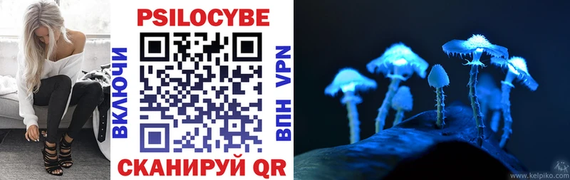 Псилоцибиновые грибы Cubensis  где купить наркоту  Урай 