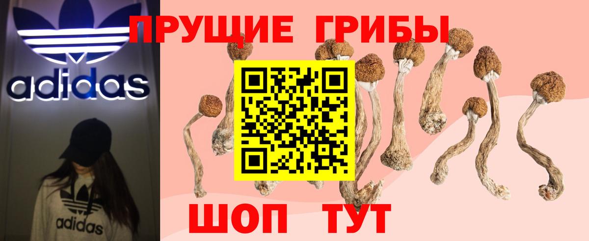 Галлюциногенные грибы мухоморы  Вход с VPN  Урай 