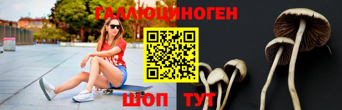 Псилоцибиновые грибы мицелий Урай